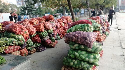 小蘿卜，大愛心 阜南教育助力濛洼地區(qū)貧困戶農(nóng)產(chǎn)品銷售