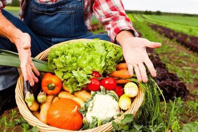 初級(jí)農(nóng)產(chǎn)品 定義、監(jiān)管與經(jīng)營許可解讀