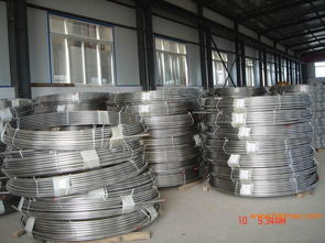 供應(yīng)x55crmo14 1.4110 耐蝕不銹鋼,供應(yīng)x55crmo14 1.4110 耐蝕不銹鋼生產(chǎn)廠家,供應(yīng)x55crmo14 1.4110 耐蝕不銹鋼價(jià)格